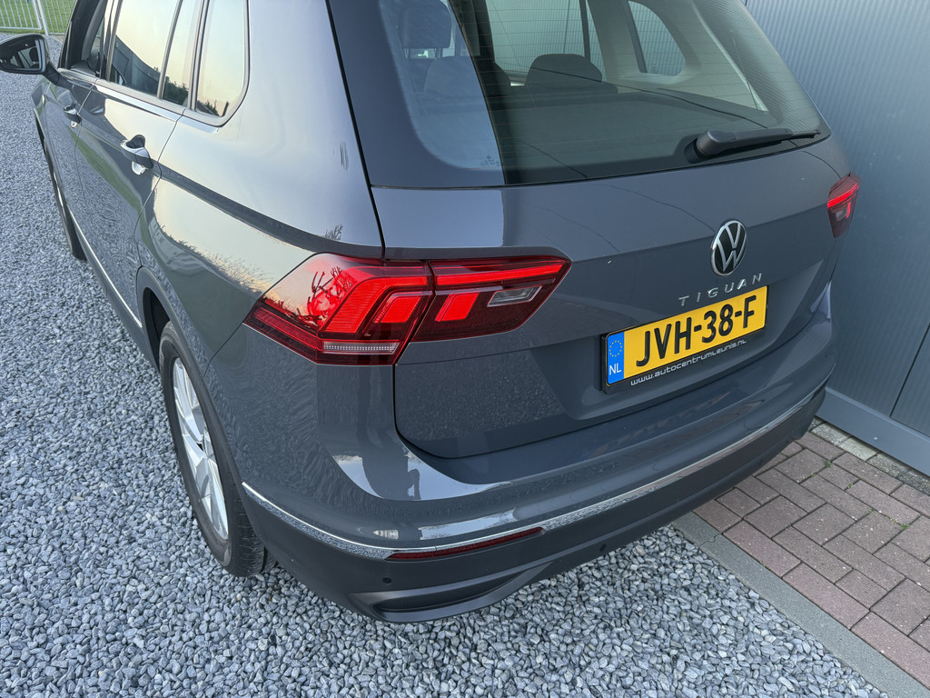 51893842-4.jpg