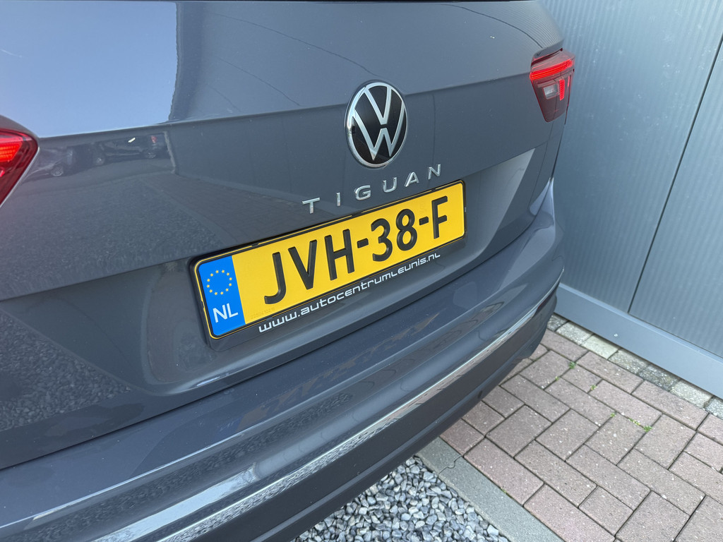 51893842-9.jpg