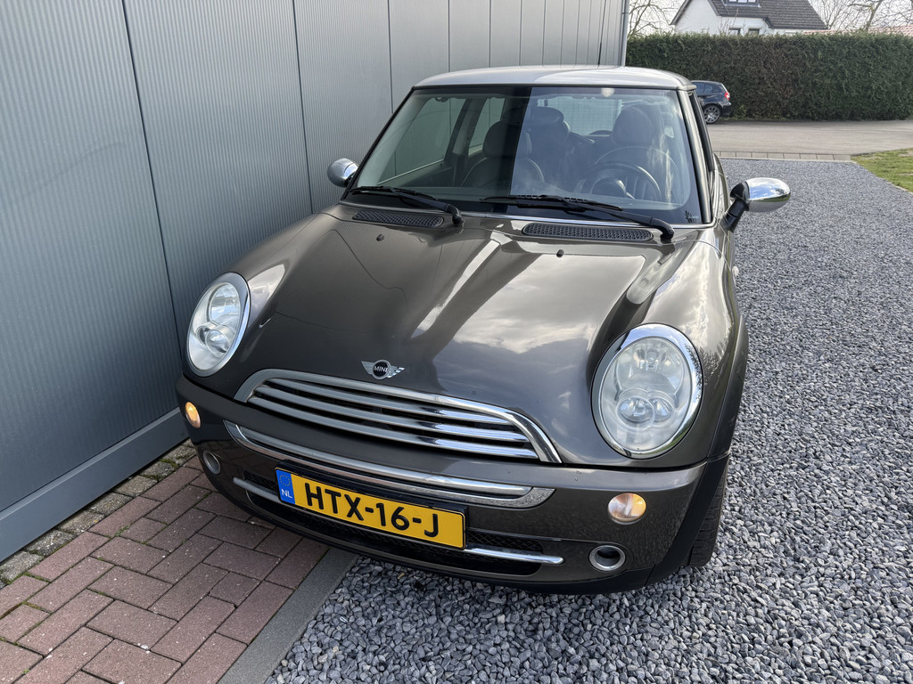 52243246-13.jpg