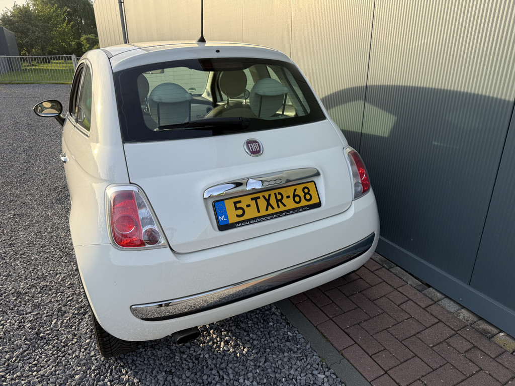 53724231-14.jpg
