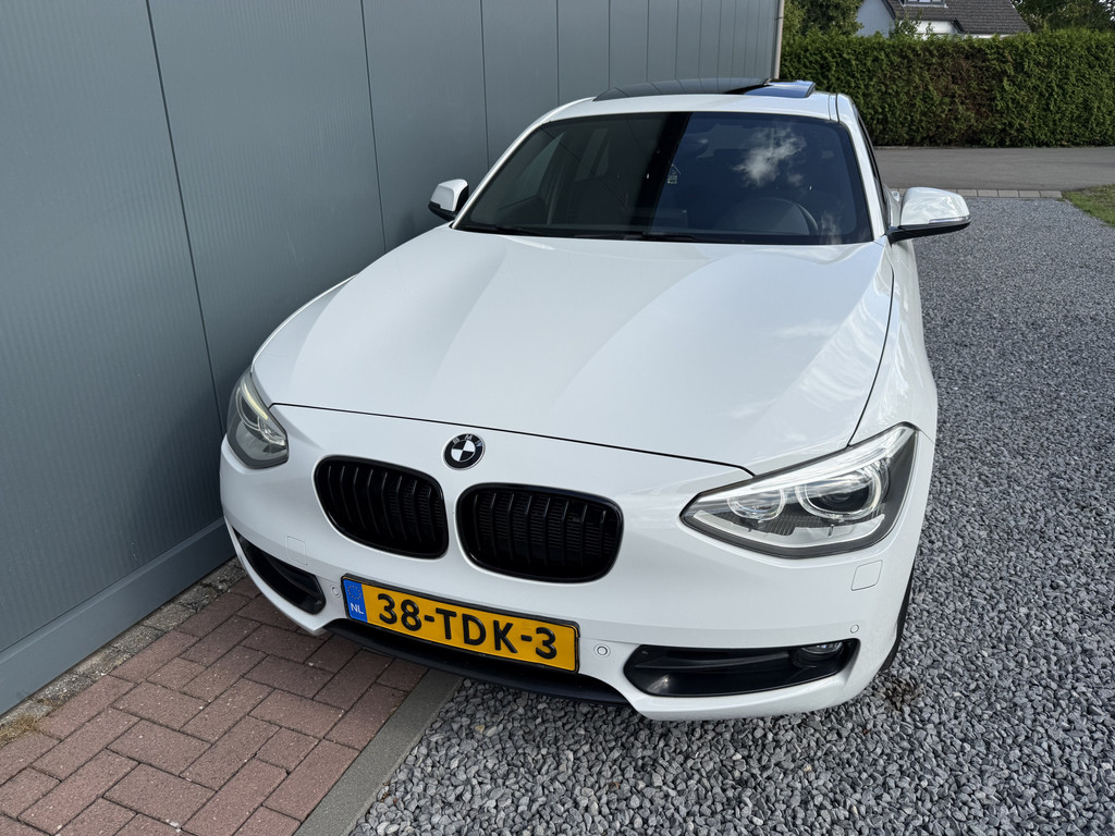 56176725-14.jpg