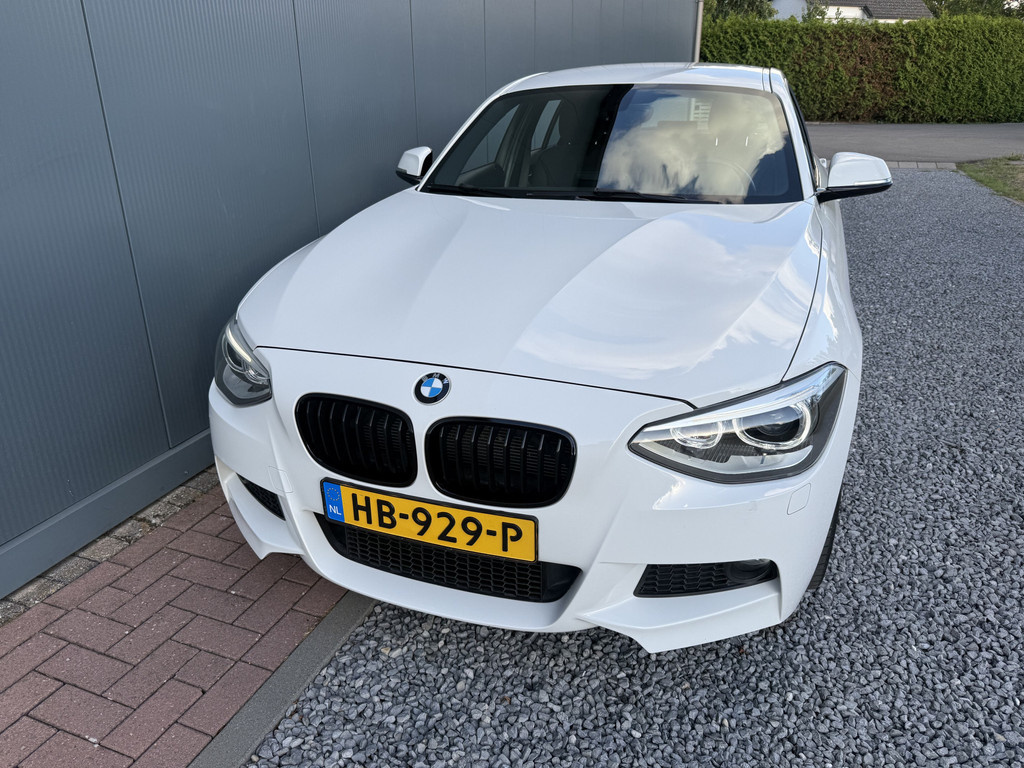 56207087-13.jpg